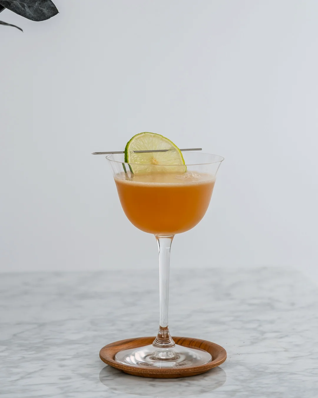 Barceló Imperial — Recipes & Content 2